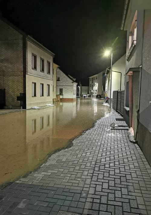 Allein in der Flut - Mein Vater und die tödliche Nacht im Ahrtal