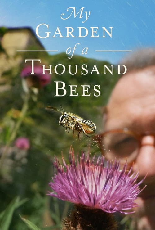Mein Garten, reich an Bienen