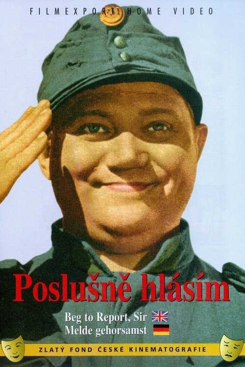 Melde gehorsamst - Der brave Soldat Schwejk