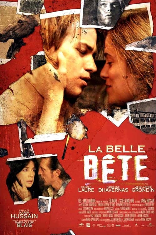 La belle bĂȘte