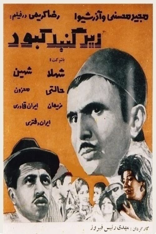زیر گنبد کبود