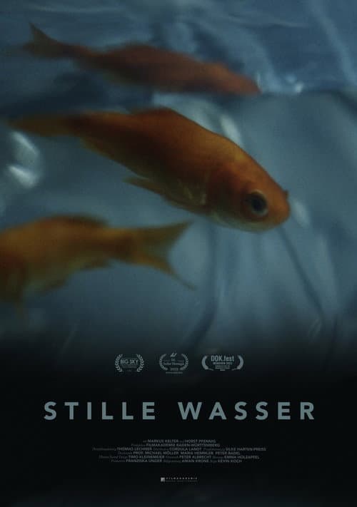 Still Waters