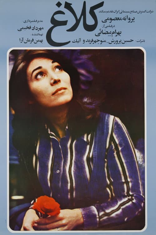 کلاغ