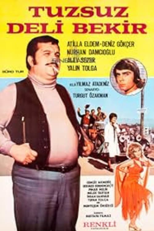 Tuzsuz Deli Bekir