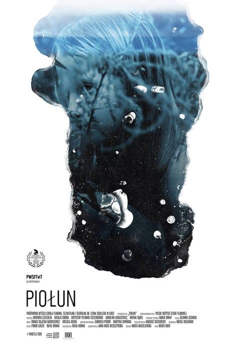 Piołun