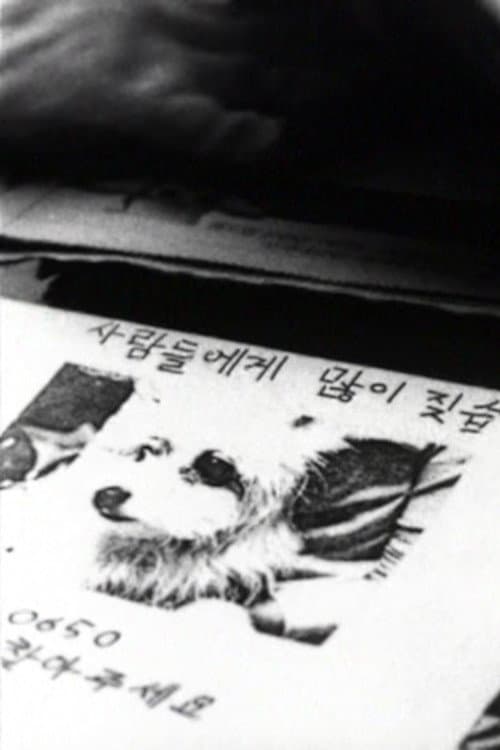 나무들이 봤어