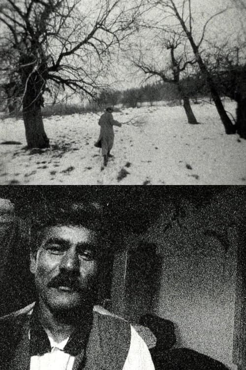 Dobré srdce (Lačho jilo)