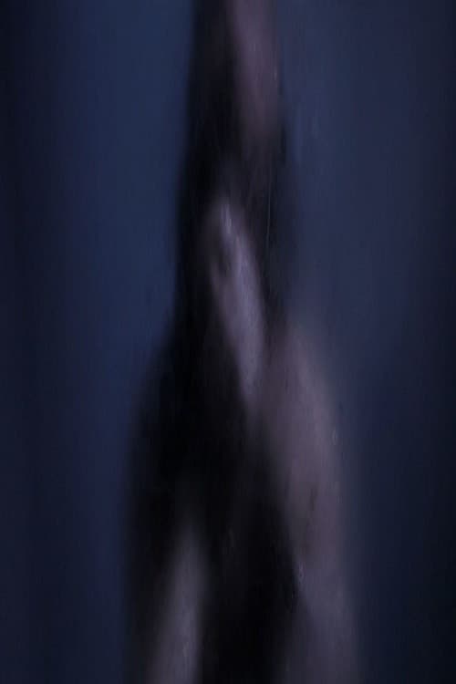 قبلة في الليل