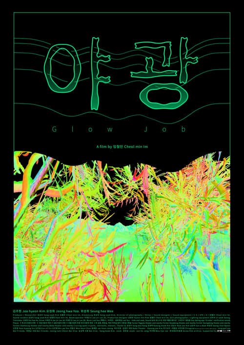 야광