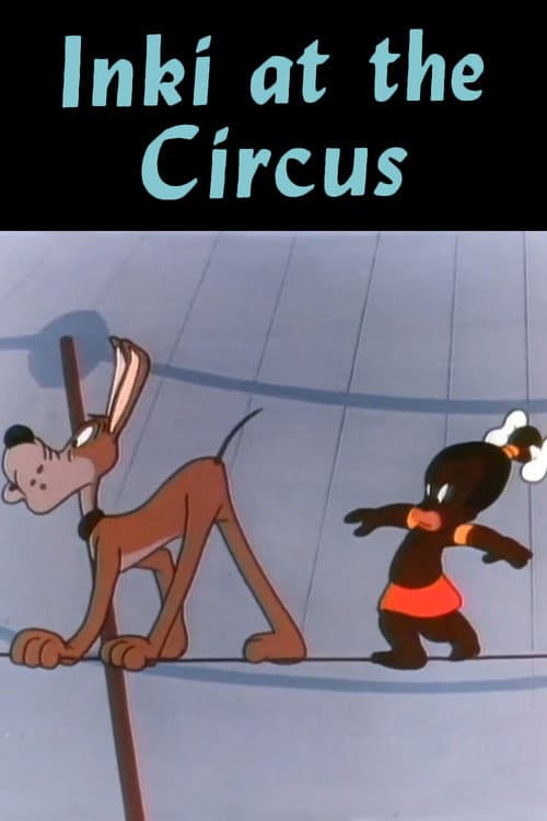 Inki im Zirkus