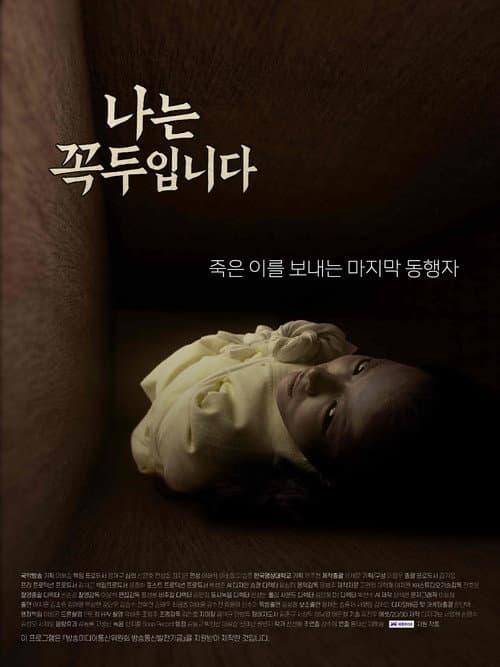 나는 꼭두입니다