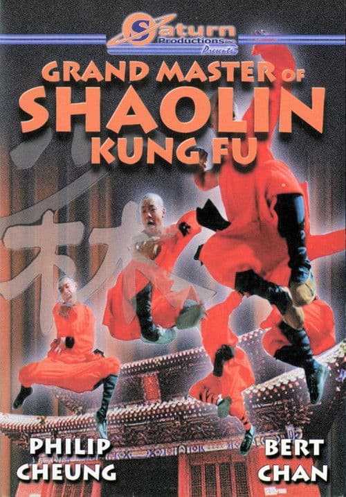 達摩神功