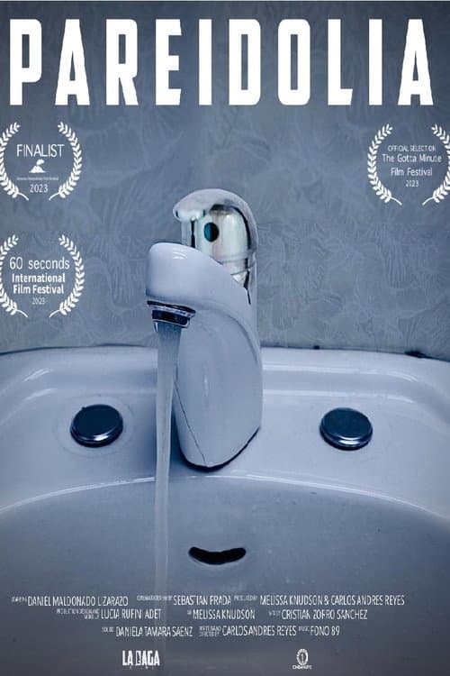 Pareidolia