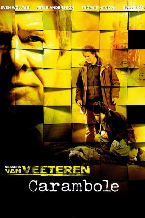 Van Veeteren - Der unglückliche Mörder