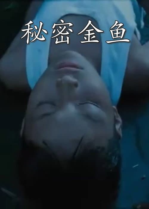 秘密金鱼