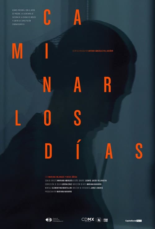 Caminar los días