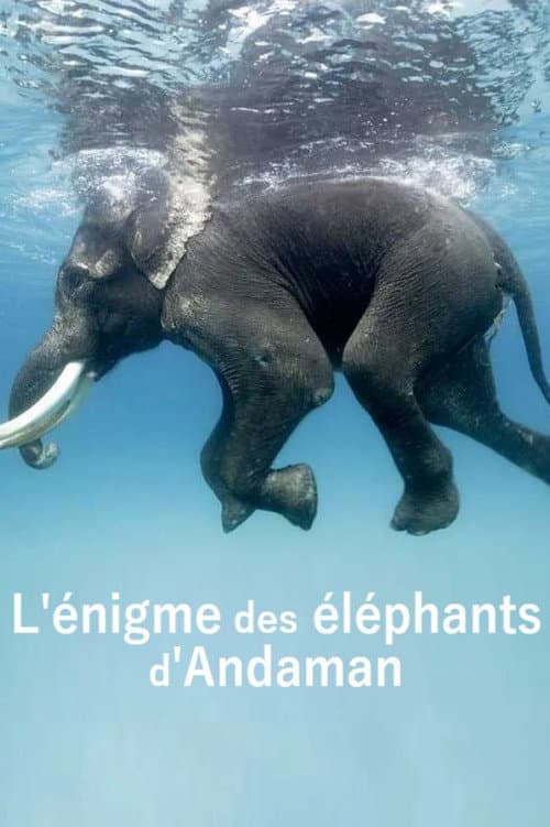 Das Rätsel der Andamanen-Elefanten