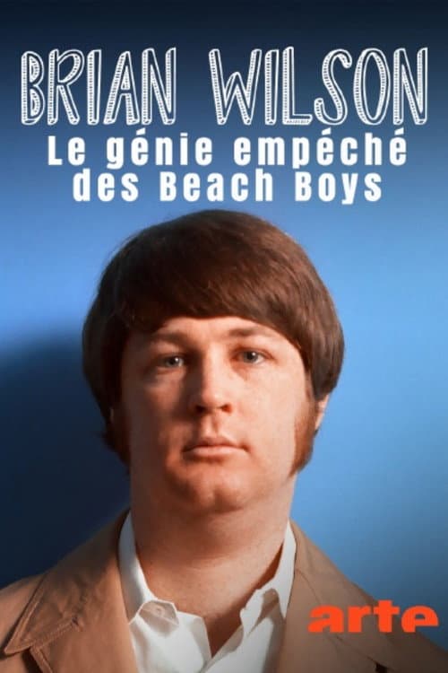 Die Beach Boys - Genie und Wahnsinn